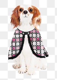 Cavalier King Charles Spaniel dog png illustration on transparent background in watercolor with cape 