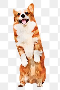 Watercolor corgi dog png illustration on transparent background in watercolor