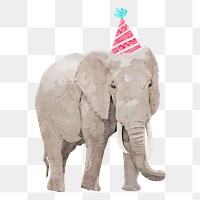 Watercolor elephant png illustration on transparent background with birthday party hat