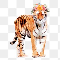 Tiger with wreath png illustration on transparent background in watercolor