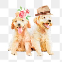 Golden retriever puppies png illustration on transparent background in watercolor with hat & flower headpiece