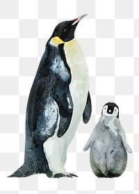 Penguin family png illustration on transparent background