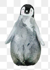 Watercolor baby penguin png illustration on transparent background