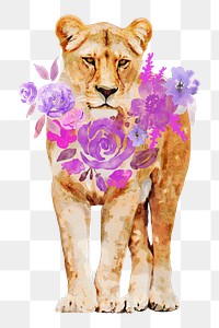 Watercolor lioness png illustration on transparent background wearing flower wreath 