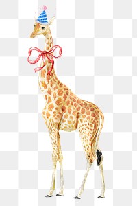 Giraffe png illustration on transparent background wearing party hat and bow ribbon