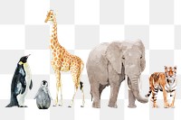 Wildlife animal png illustration set on transparent background