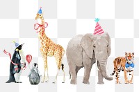 Wildlife animal png illustration set on transparent background with birthday party hats