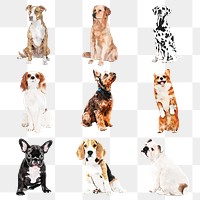 Watercolor dog png illustration set with different breeds