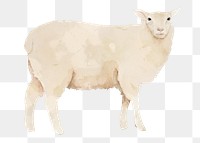 Sheep png sticker, watercolor illustration, transparent background