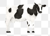 Dairy cow png sticker, watercolor illustration, transparent background