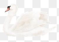 White swan png sticker, watercolor illustration, transparent background