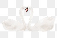 Swans png sticker, watercolor illustration, transparent background