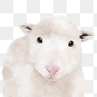 Sheep png sticker, watercolor illustration, transparent background