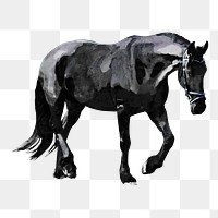 Black horse png sticker, watercolor illustration, transparent background