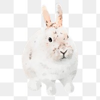 Bunny png sticker, watercolor illustration, transparent background