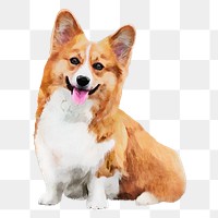 Cute dog png sticker, Welsh corgi, transparent background