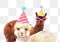 Birthday alpacas png sticker, watercolor illustration, transparent background