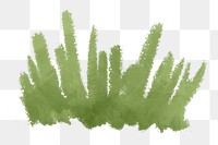 Green grass png sticker, watercolor illustration, transparent background