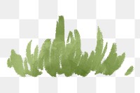 Grass png sticker, watercolor illustration, transparent background