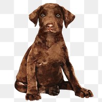 Brown puppy png sticker, watercolor illustration, transparent background