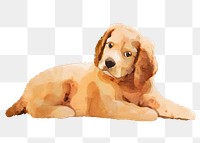 Cute dog png sticker, watercolor illustration, Golden Retriever, transparent background