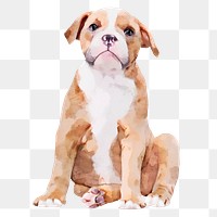 Bulldog  png sticker, watercolor illustration, transparent background