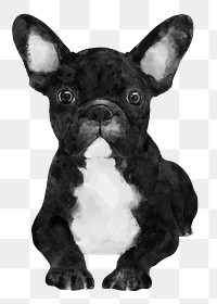 French Bulldog png sticker, watercolor illustration, transparent background