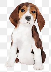 Beagle puppy png sticker, watercolor illustration, transparent background