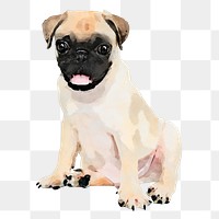 Pug dog png sticker, watercolor illustration, transparent background