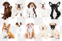 Puppy png stickers, watercolor illustration set, transparent background