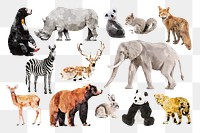 Wildlife animal png stickers, watercolor illustration set, transparent background