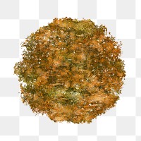 Tree png top view, autumn clipart, transparent background