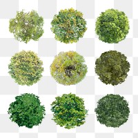 Tree png, top view spring stickers set, transparent background