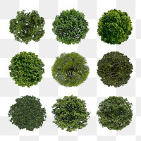 Tree png, top view spring stickers set, transparent background