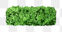 Bush png sticker, watercolor illustration on transparent background