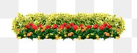 Flower bush png sticker on transparent background