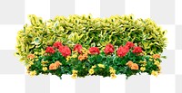 Flower bush png sticker on transparent background