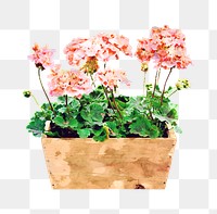 Flower bed png sticker, watercolor illustration on transparent background