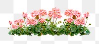 Pink flower bush png sticker on transparent background