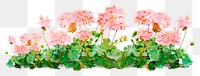 Flower bush png sticker, watercolor illustration on transparent background