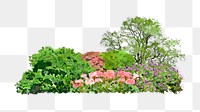 Garden landscape png sticker, watercolor illustration on transparent background