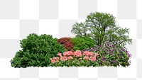 Garden landscape png sticker on transparent background