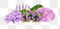 Flower bush png sticker on transparent background