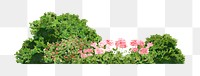 Garden landscape png sticker, watercolor illustration on transparent background