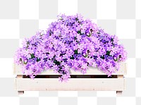 Purple flower bush png sticker on transparent background