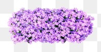 Purple flower bush png sticker on transparent background