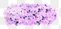 Flower bush png sticker, watercolor illustration on transparent background