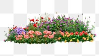 Flower bush png sticker on transparent background