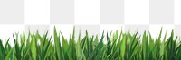 Grass png sticker on transparent background