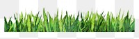 Green grass png sticker, watercolor illustration on transparent background